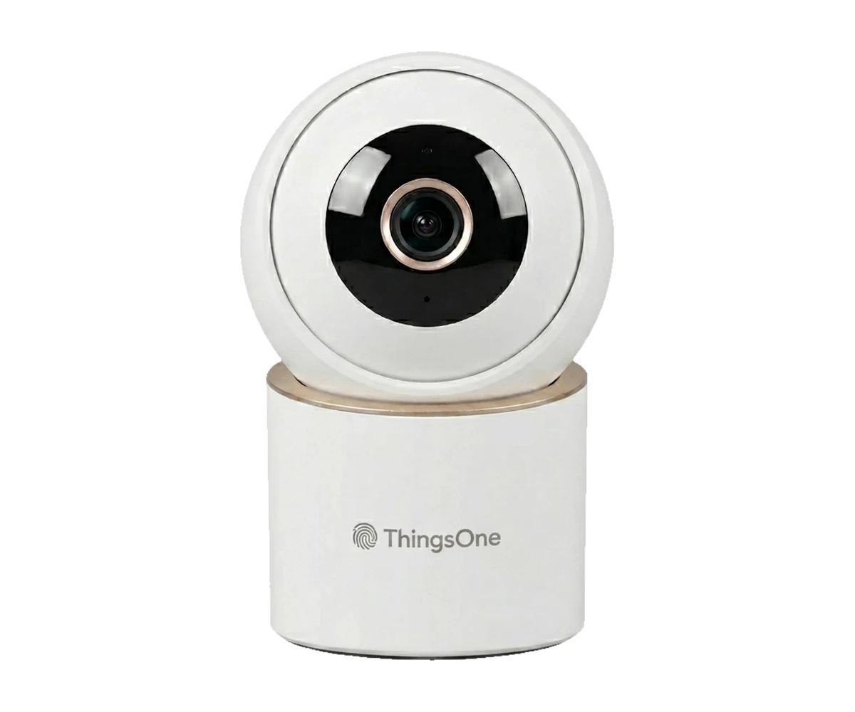 IP Camera C1
