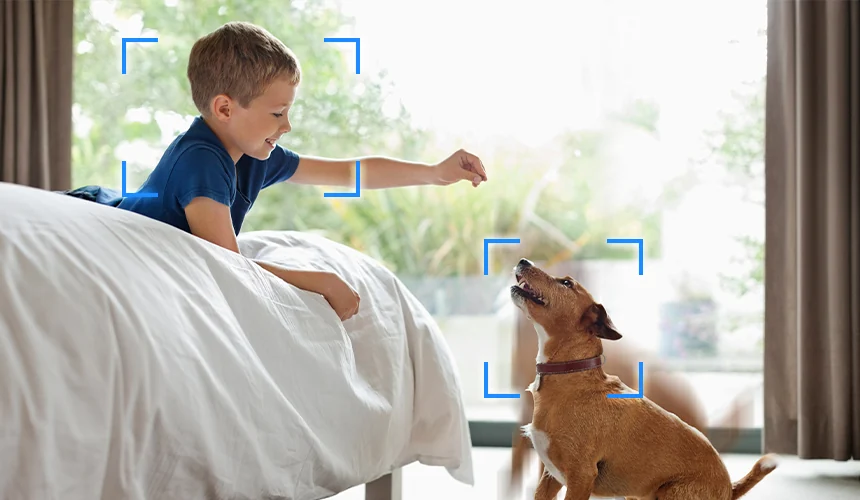 Baby & Pet Monitoring 적용 장면